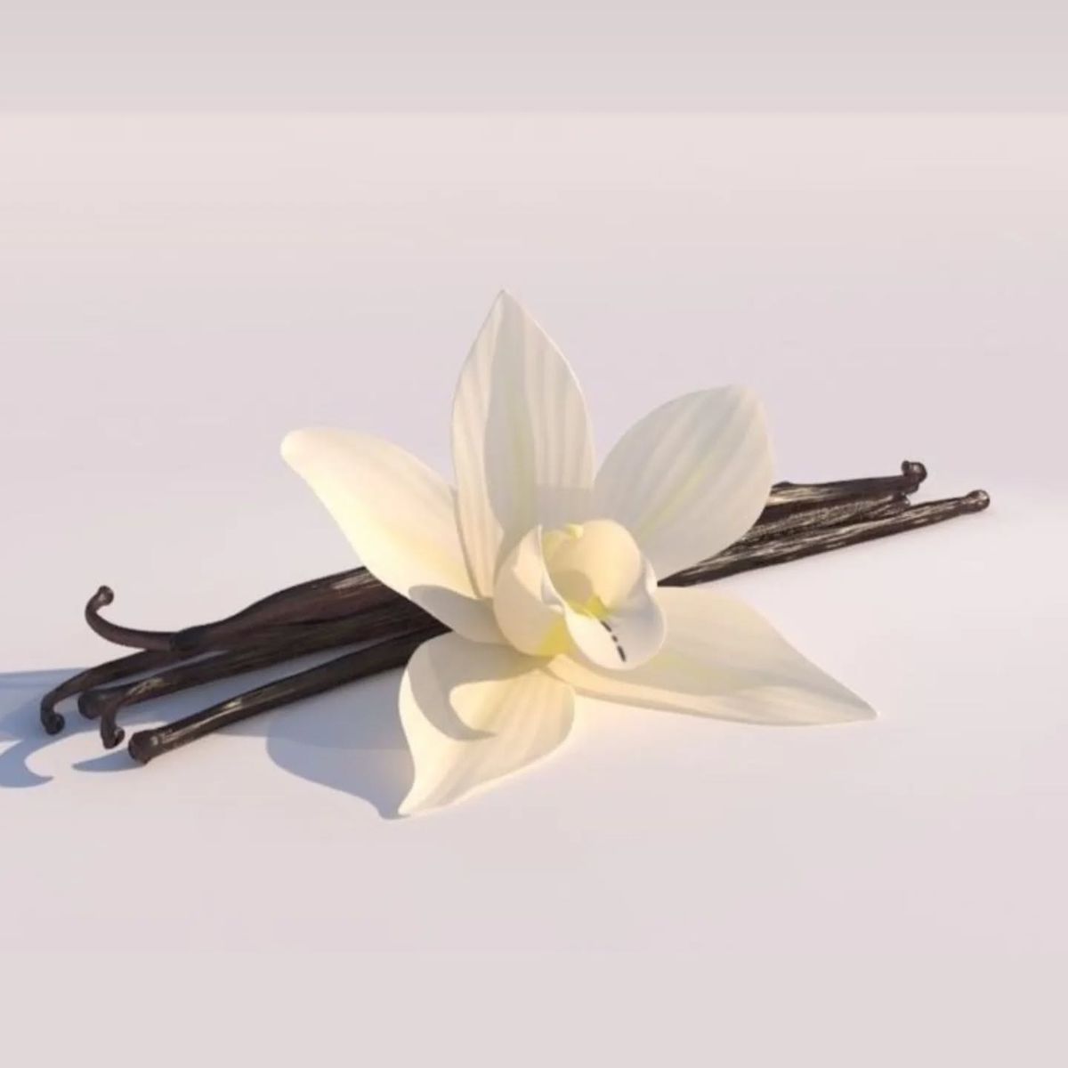 media_image2