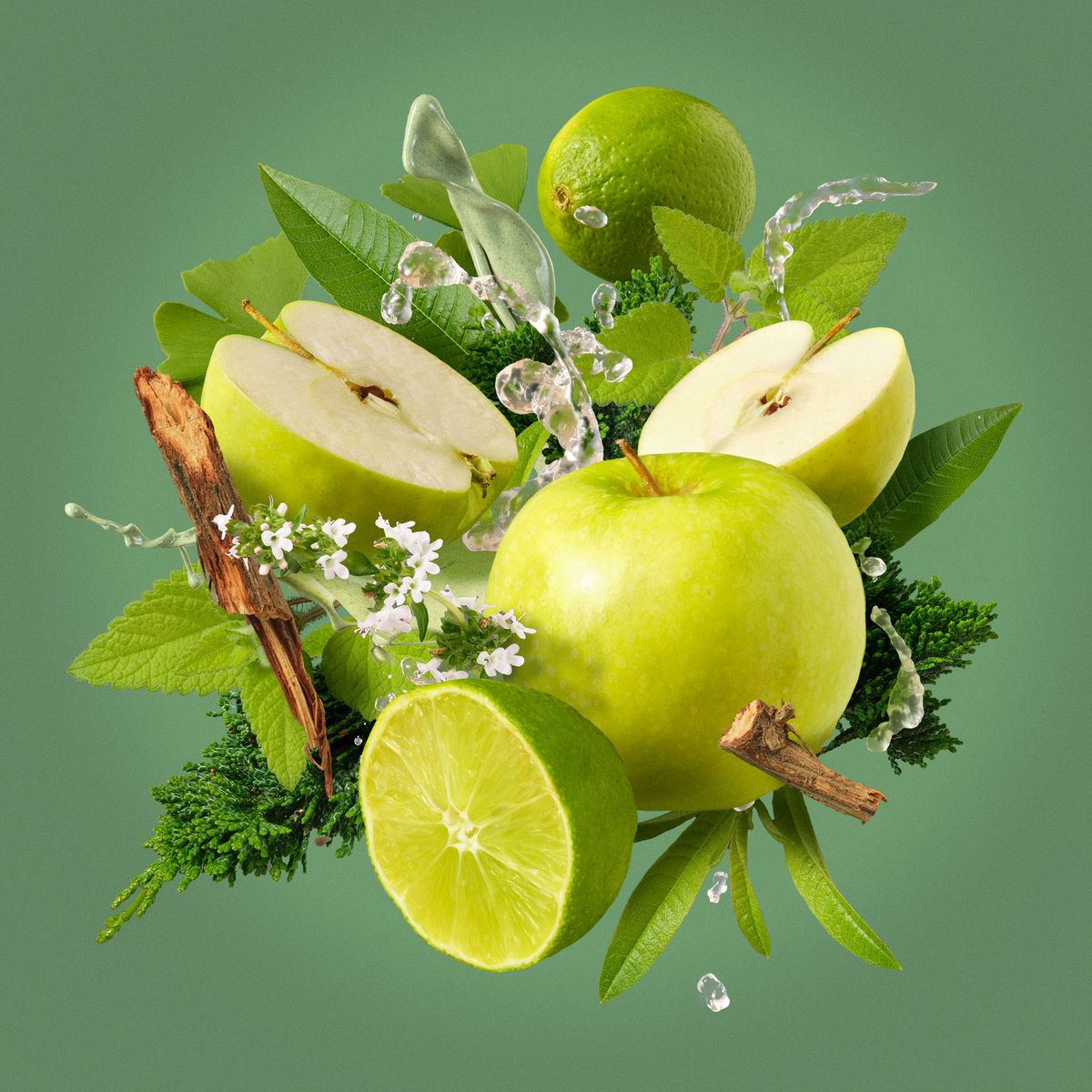 media_image0
