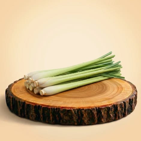 media_image1