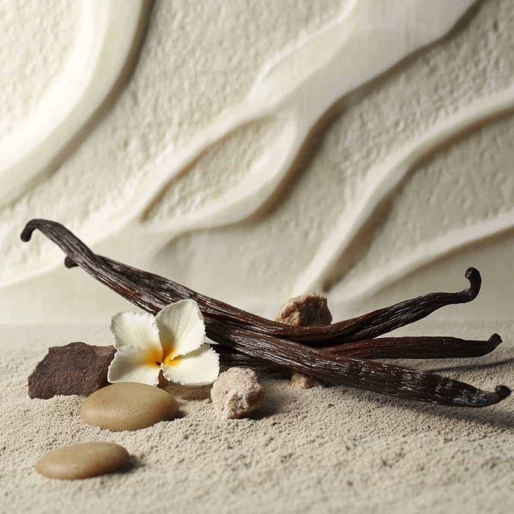 Hương Vanilla