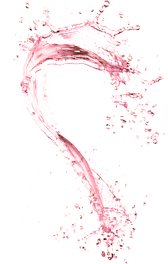 Công ty TNHH Scentify