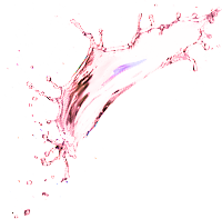 Công ty TNHH Scentify